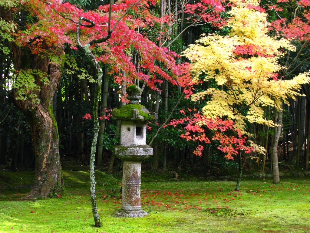 Garden Daitokuji